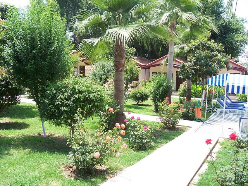 Hotel photo 19