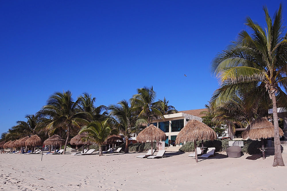 Beach & Waterfront