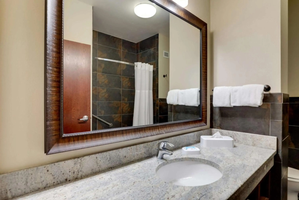 Drury Plaza Hotel New Orleans - Général