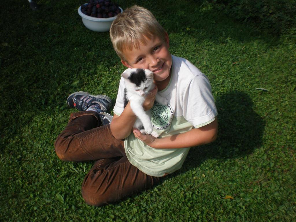 Image 18