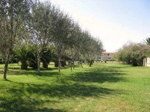 Pegaso Palace Hotel - Général