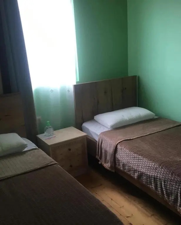 Standard Double room with mountain view (full double bed)