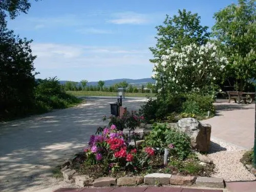 Hotel Wildenburger Hof - Général