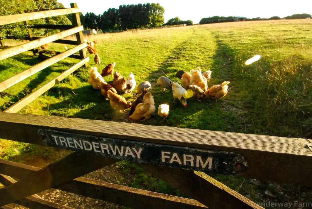 Trenderway Farm - фото 27