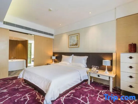Deluxe Double room with city view (full double bed)