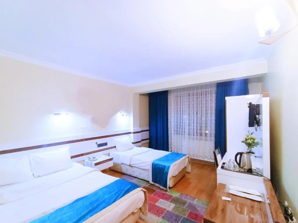Standard Double room (twin beds)