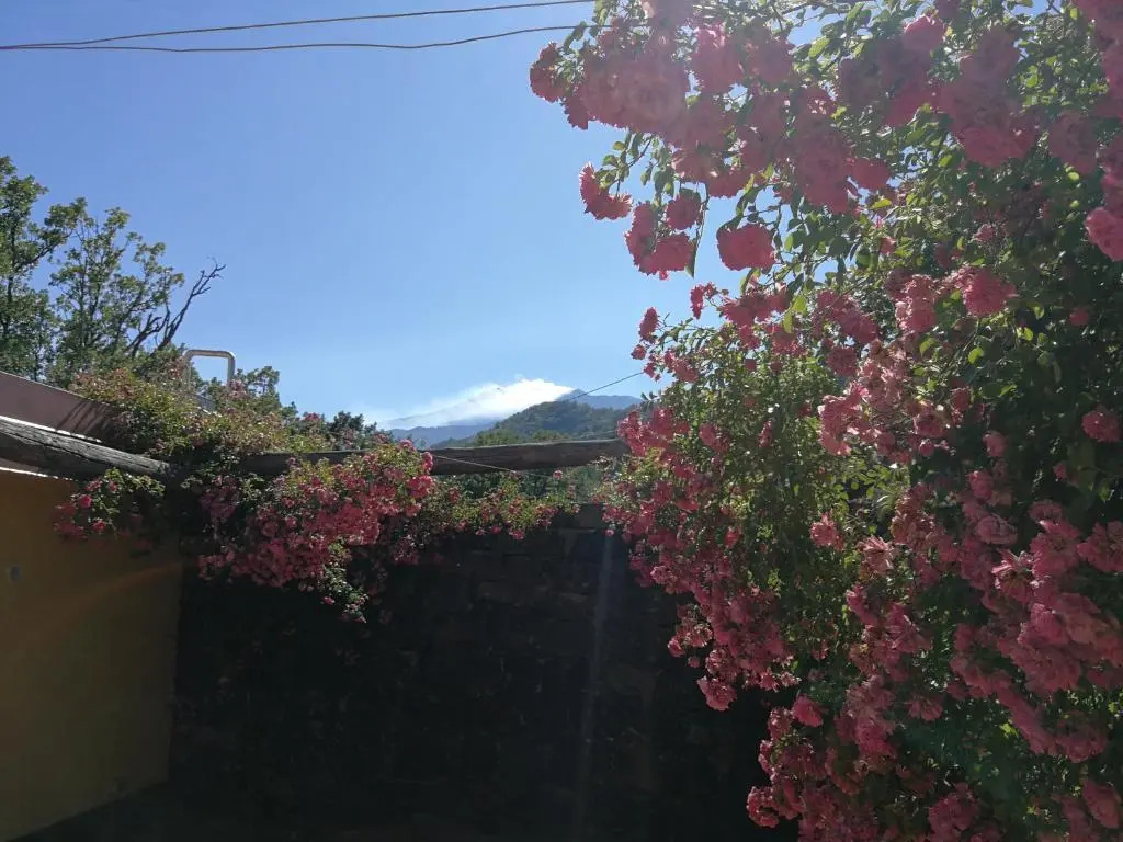 Standard room with mountain view