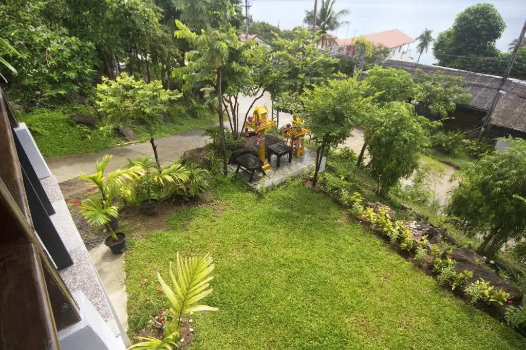 The Green Palm - фото 28