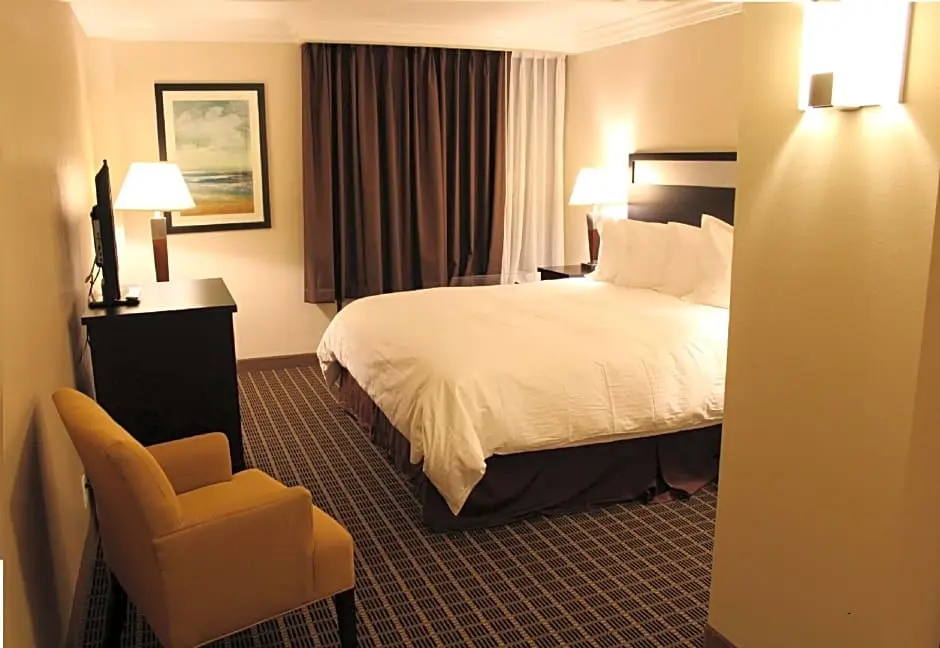 Double Suite (full double bed)