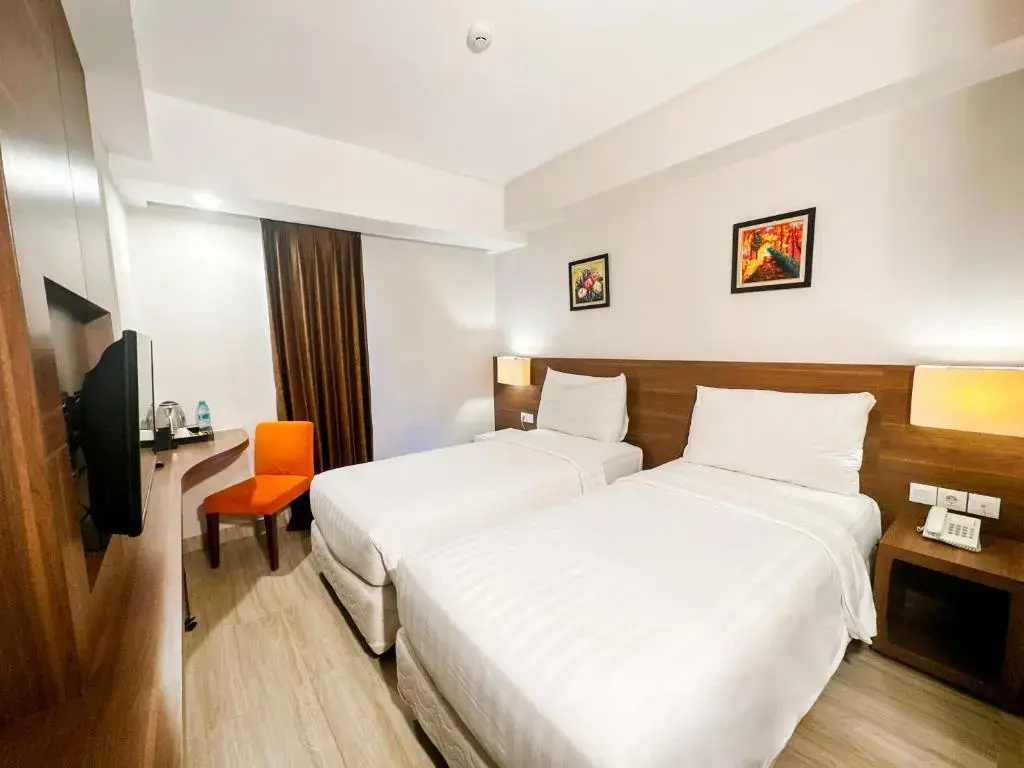 Superior Double room (twin beds)