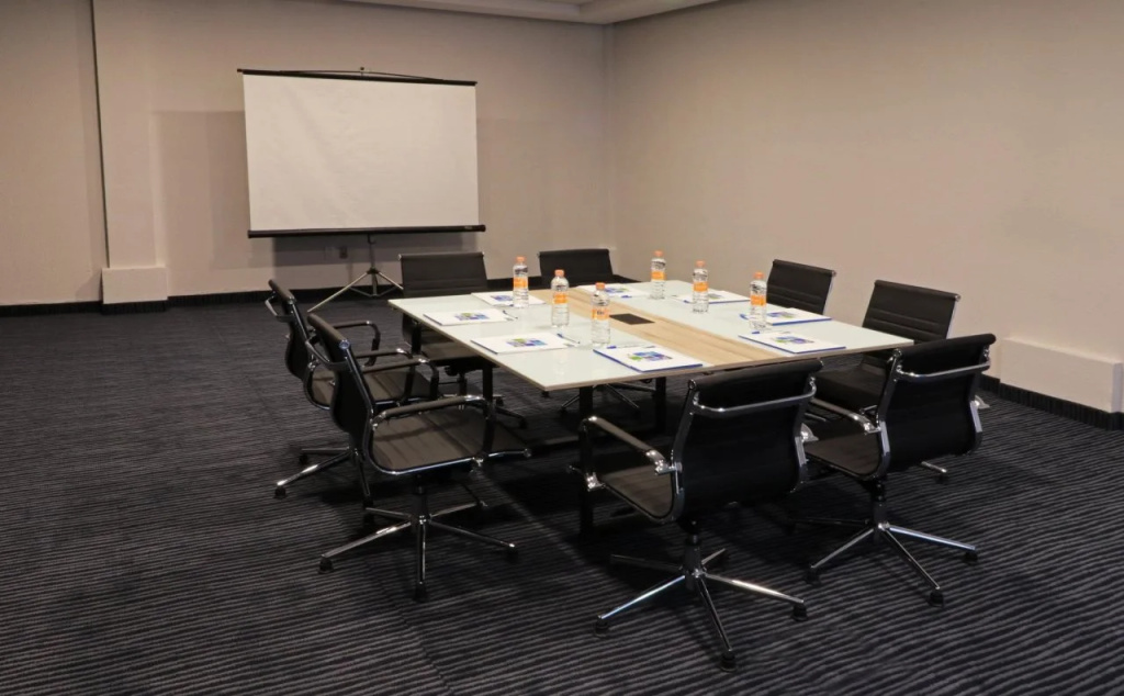 Holiday Inn Express San Luis Potosi by IHG - Général