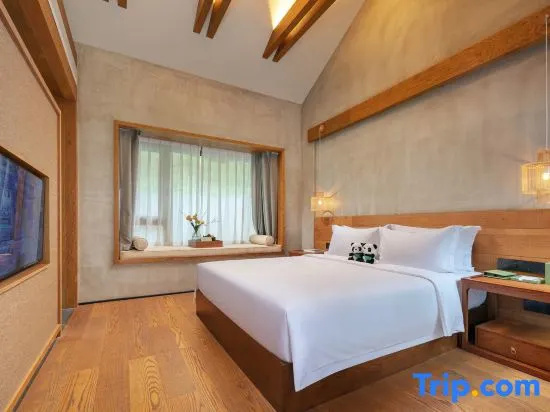 Standard Double room with courtyard view (full double bed)