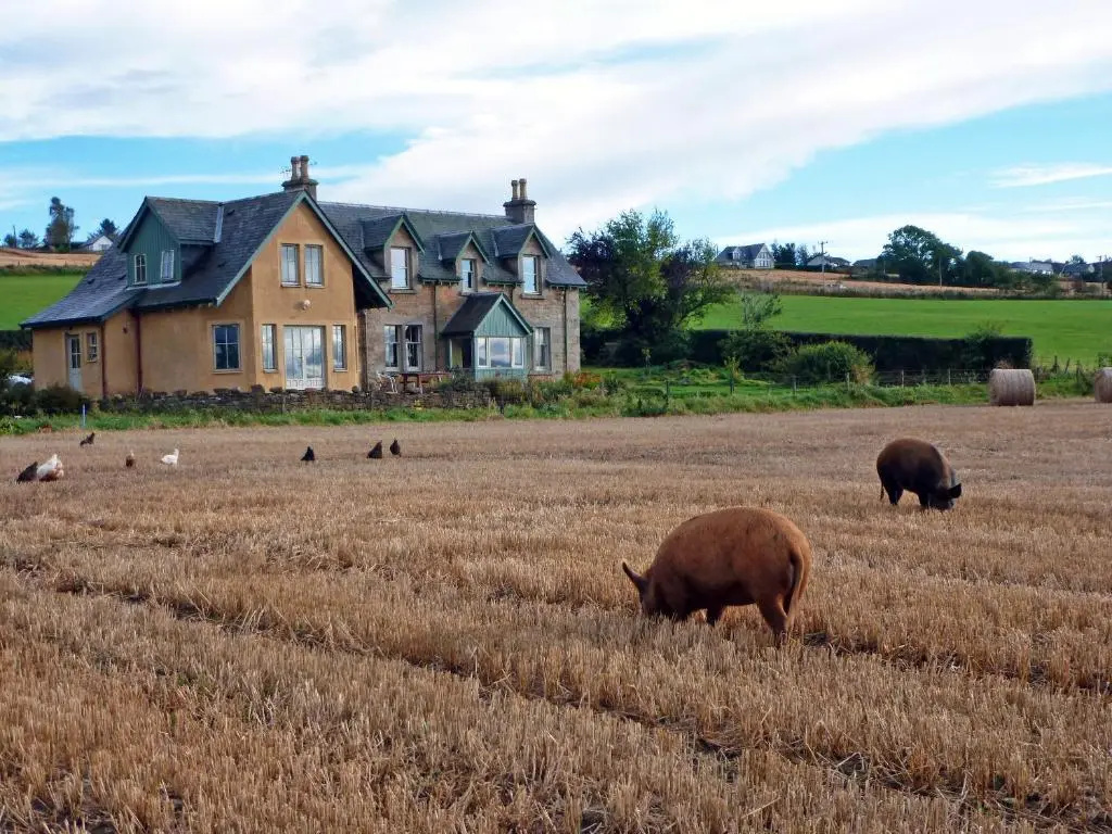 Netherton Farm B&b