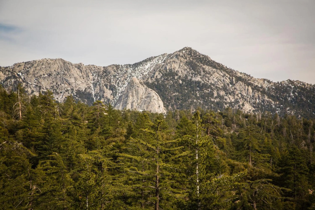 Idyllwild Camping Resort Cabin
