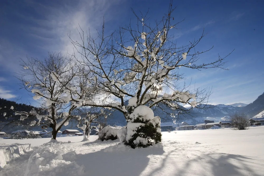 Gastehaus Meusburger