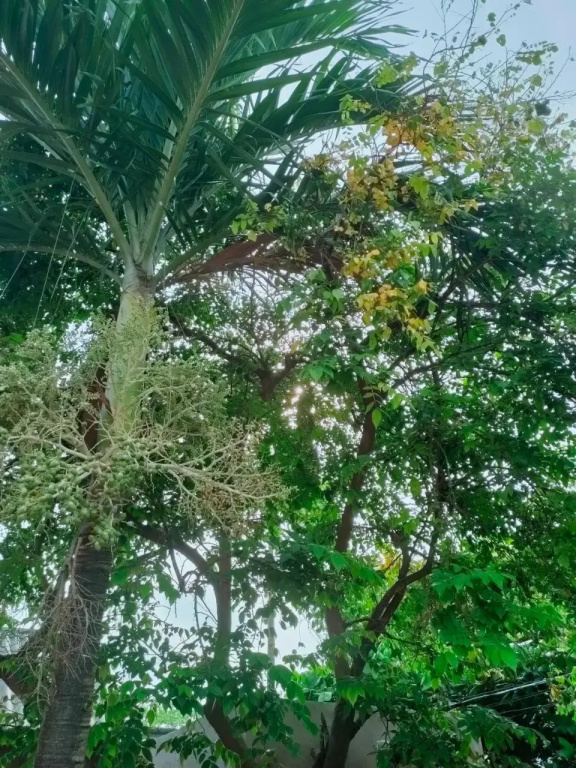 Nhà Nghỉ Trinh Uy