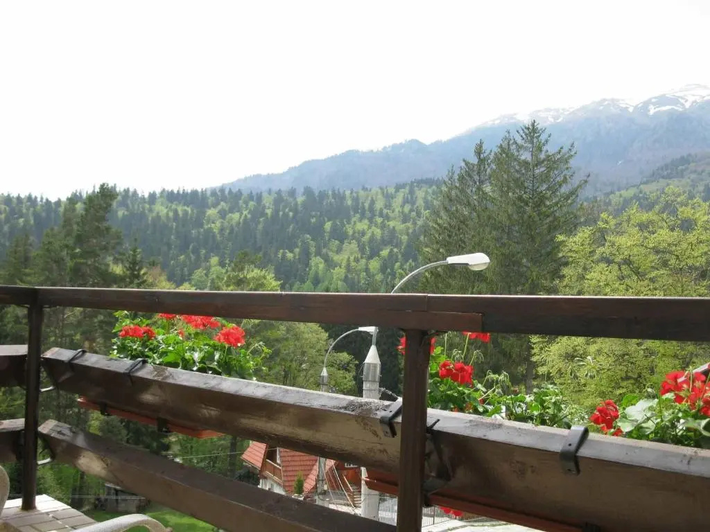 Hotel Piatra Soimului - Chambres