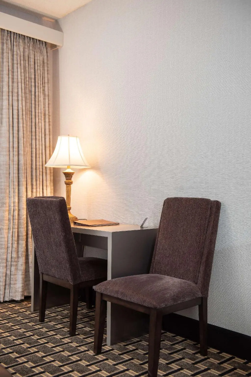 Inn at the Colonnade Baltimore - a DoubleTree by Hilton - Chambres