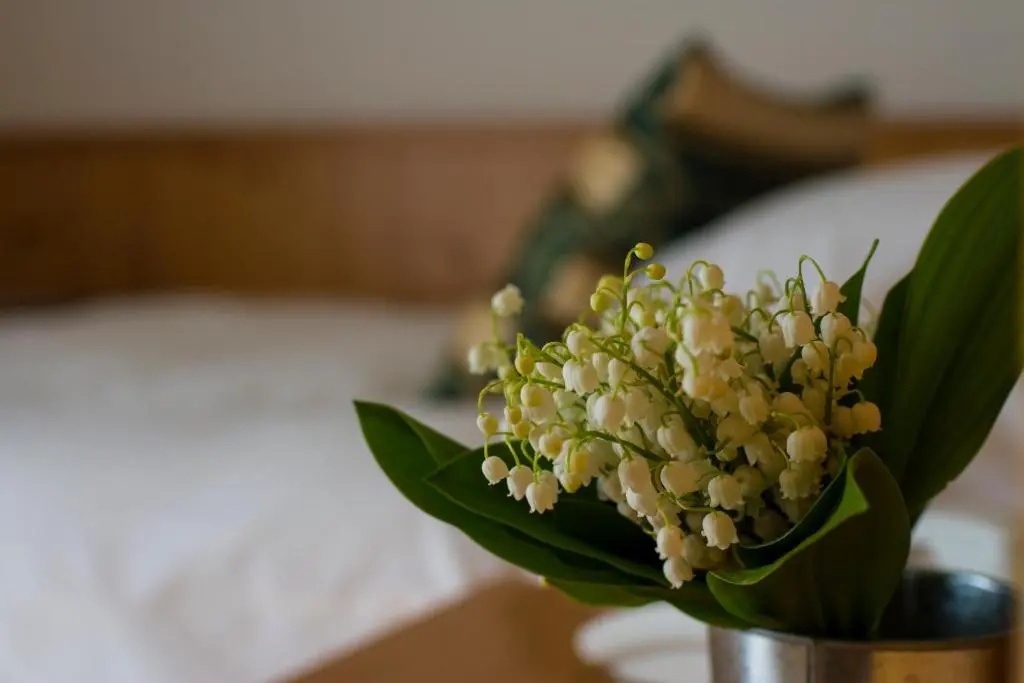 Hotel Chalet all'Imperatore - Chambres