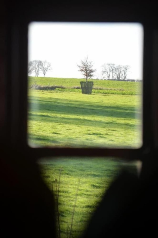 The Hollow Bottom