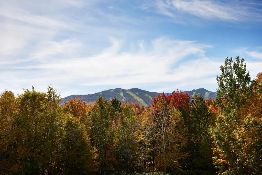 Killington Mountain Lodge, Tapestry Collection by Hilton - Chambres