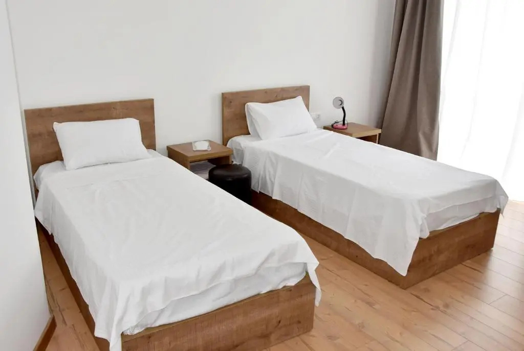 Standard Double room with mountain view (twin beds)