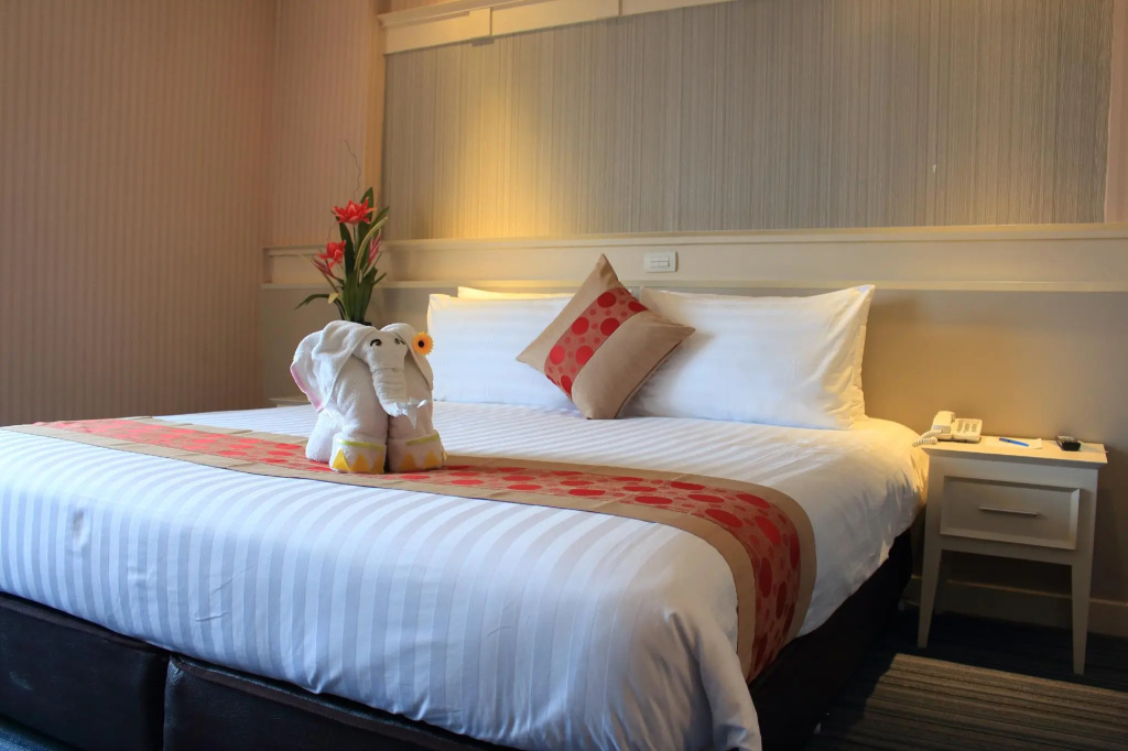 Deluxe Double room (full double bed)
