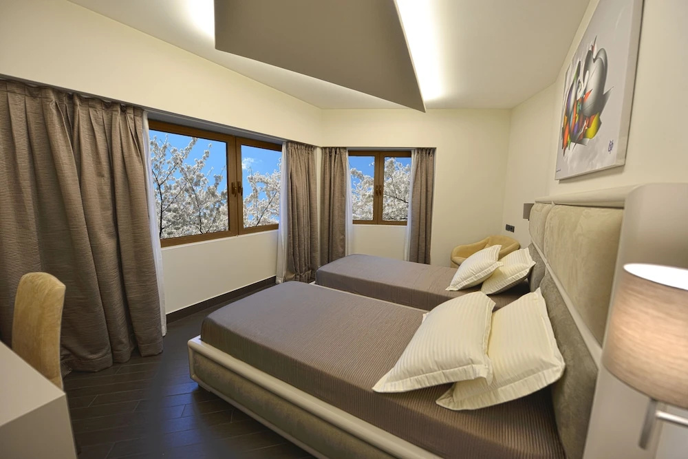 Deluxe Double room (twin beds)