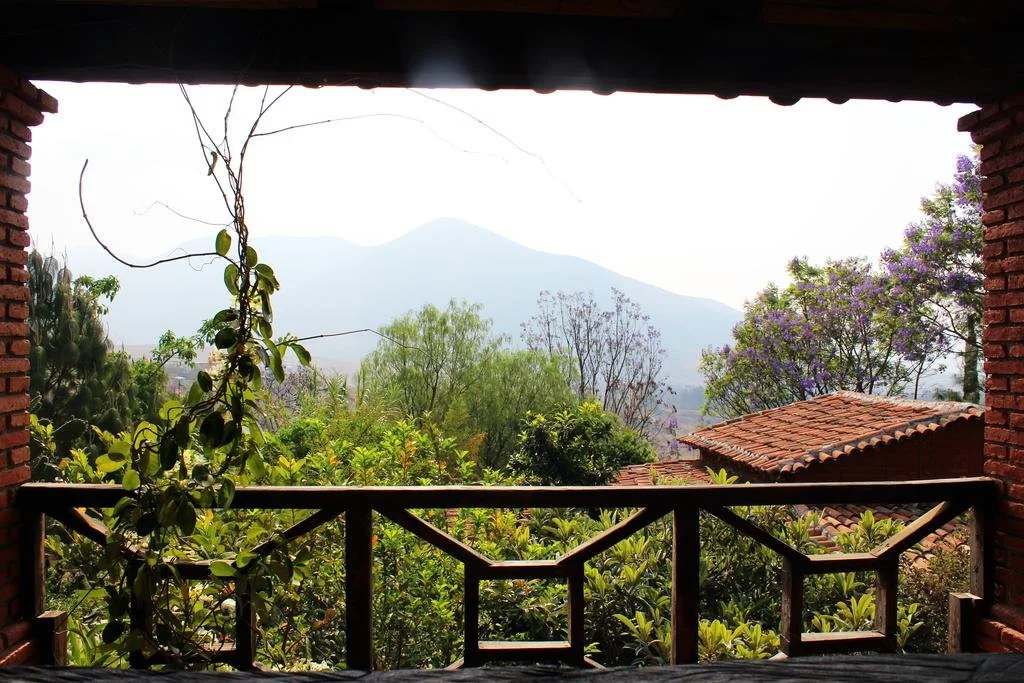 Balcony & Terrace