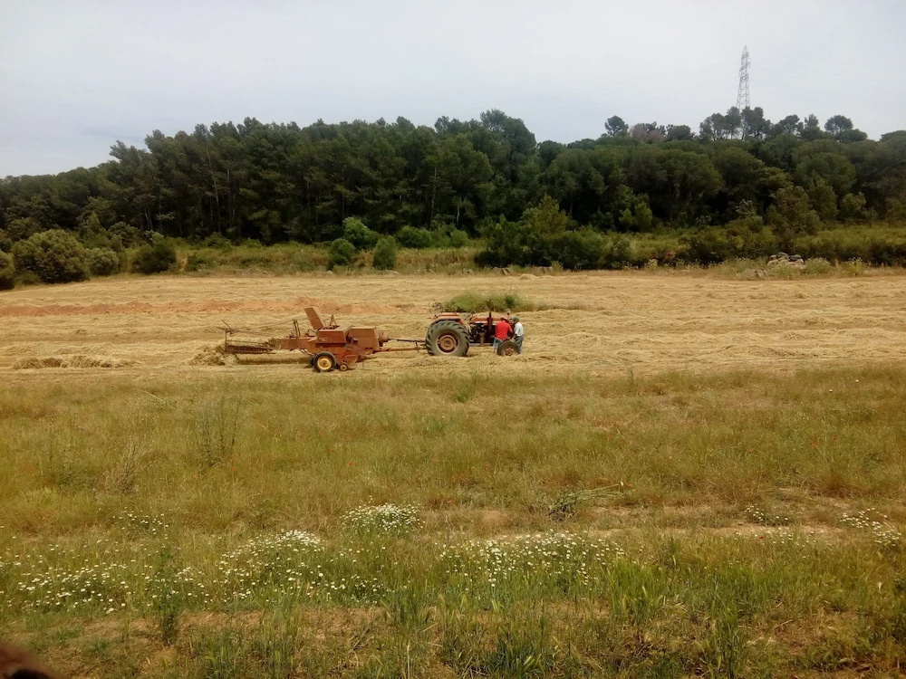 Can Barnosell - Els Masos d'en Coll