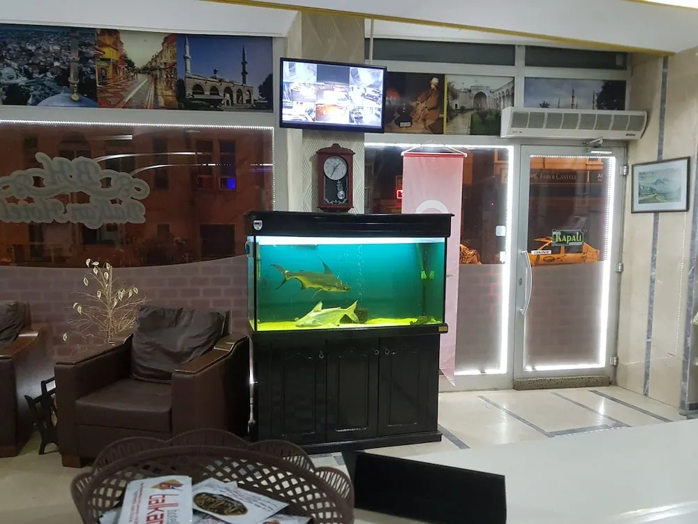 Hotel photo 11