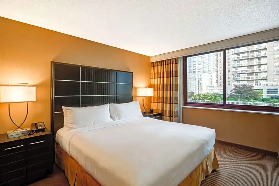 Embassy Suites by Hilton Chicago Downtown River North - Chambres