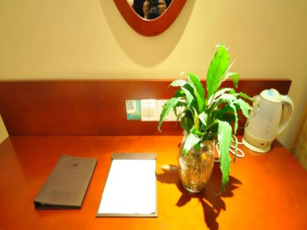 GreenTree Inn Zibo Zichuan District Flyover Business Hotel - Chambres
