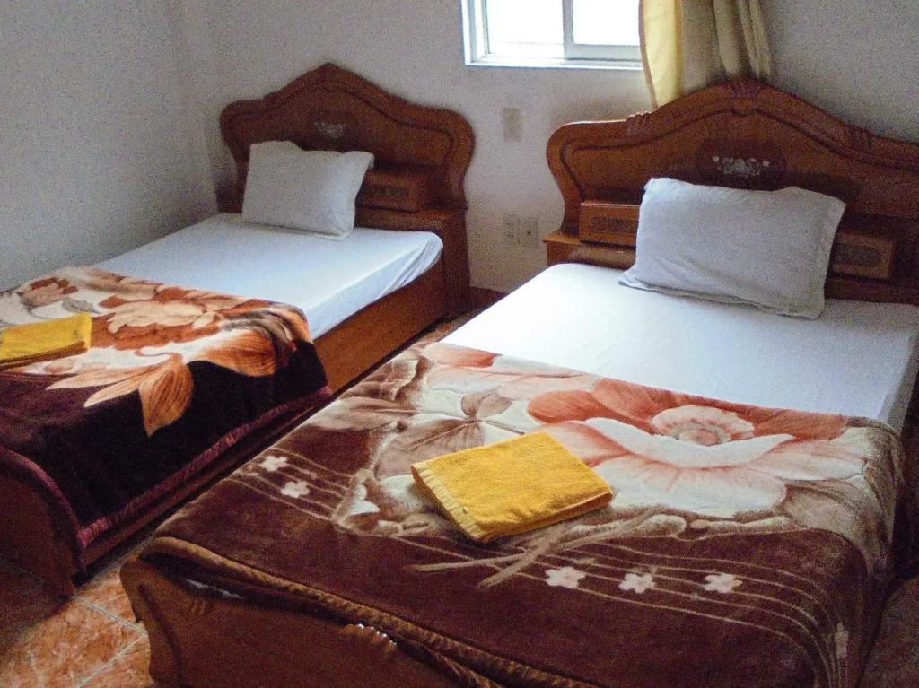 Standard Double room (twin beds)