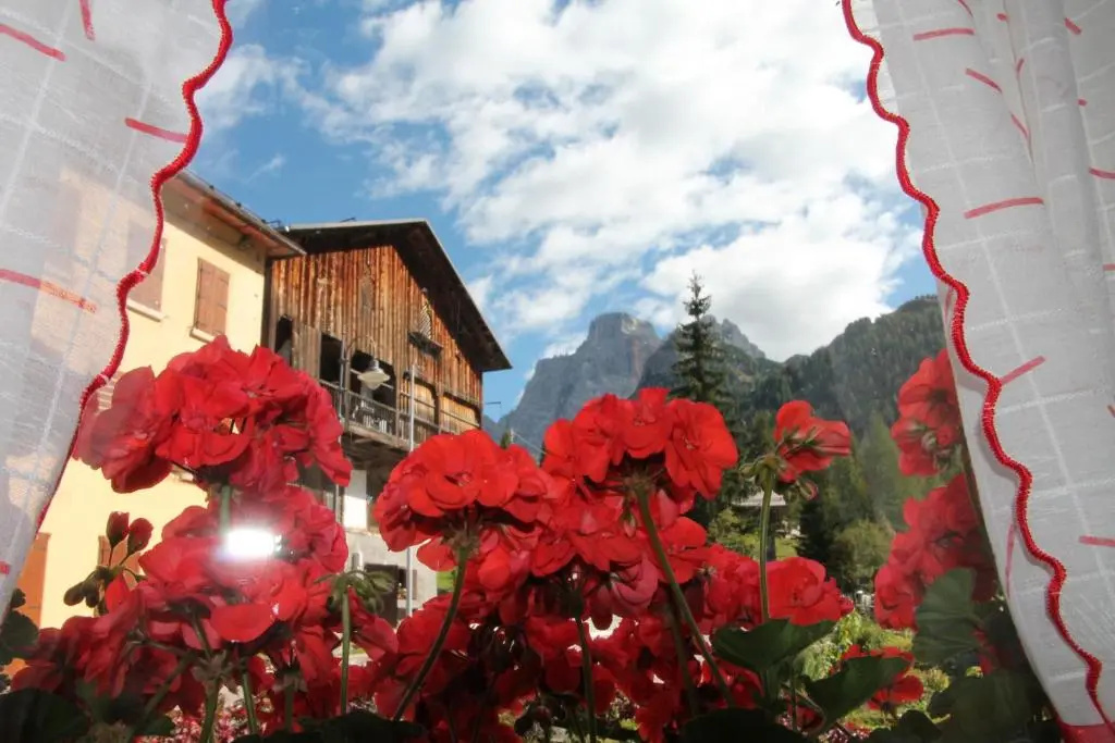 Dolomites Holidays - Chambres