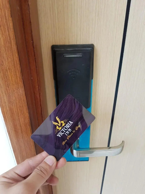 Victoria Inn - фото 8