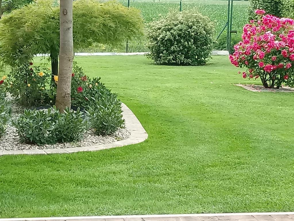 Image 14