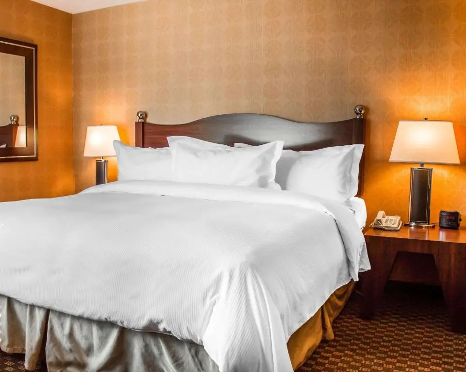 The Woodlands - Chambres
