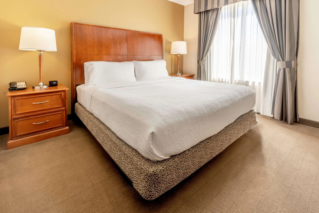 Hilton Garden Inn Houston/The Woodlands - Général