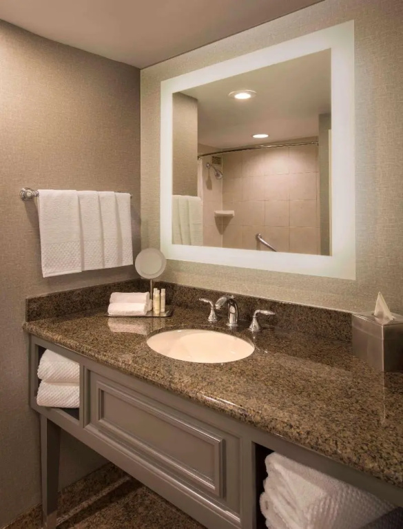 DoubleTree by Hilton Austin - Chambres