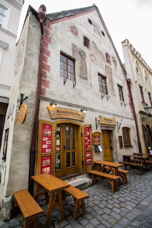 Hotel Svamberský Dum - Général
