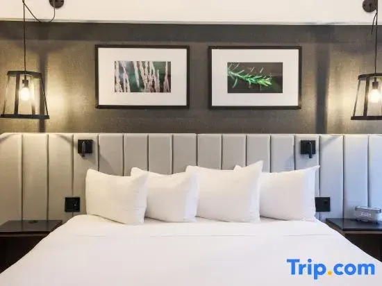 Люкс Executive в Hotel Bonaventure Montreal