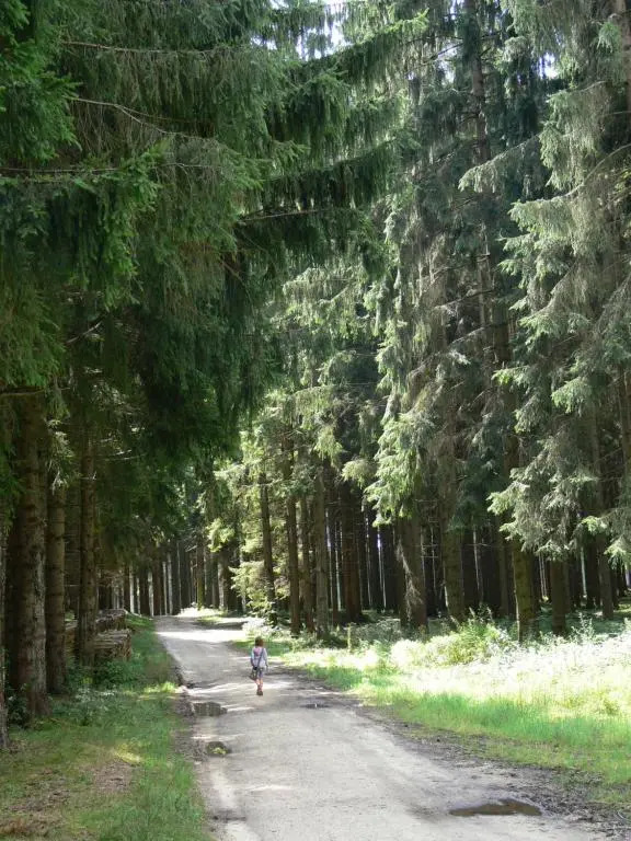 Biobauernhof Mayerhofer