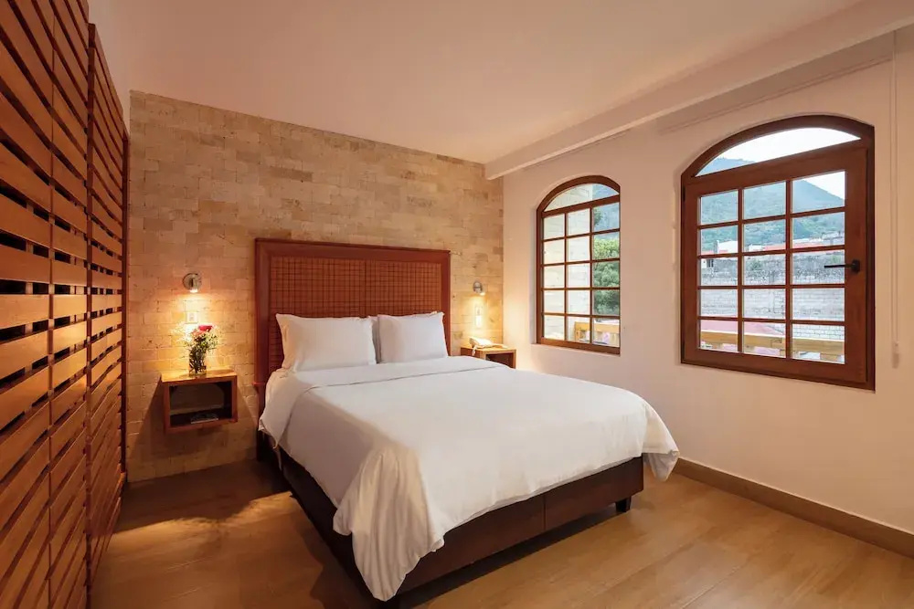Standard Double room with balcony and with park view (full double bed)