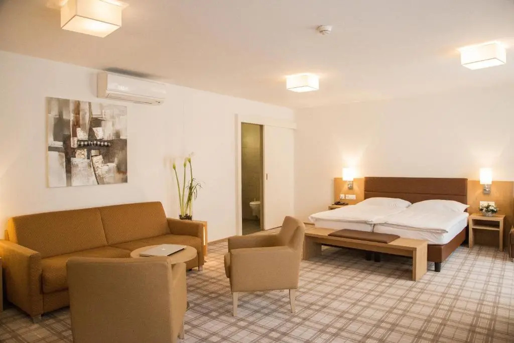 Central City Hotel Rochat - Chambres