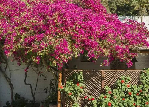 La Fortaleza Del Inca - фото 2