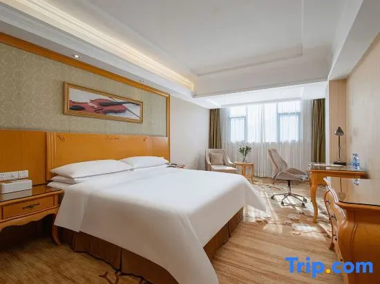 Viennahotel Shenzhen Longhua South Renmin Road - Chambres