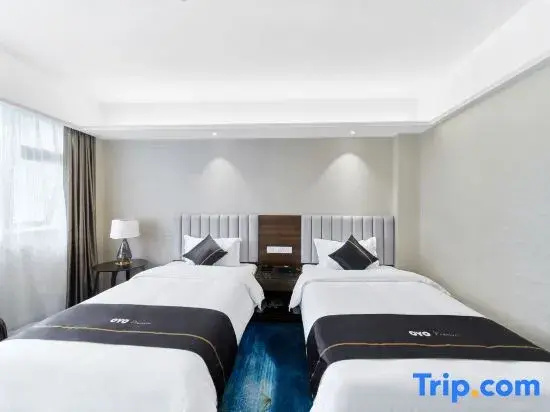 Deluxe Double room (twin beds)