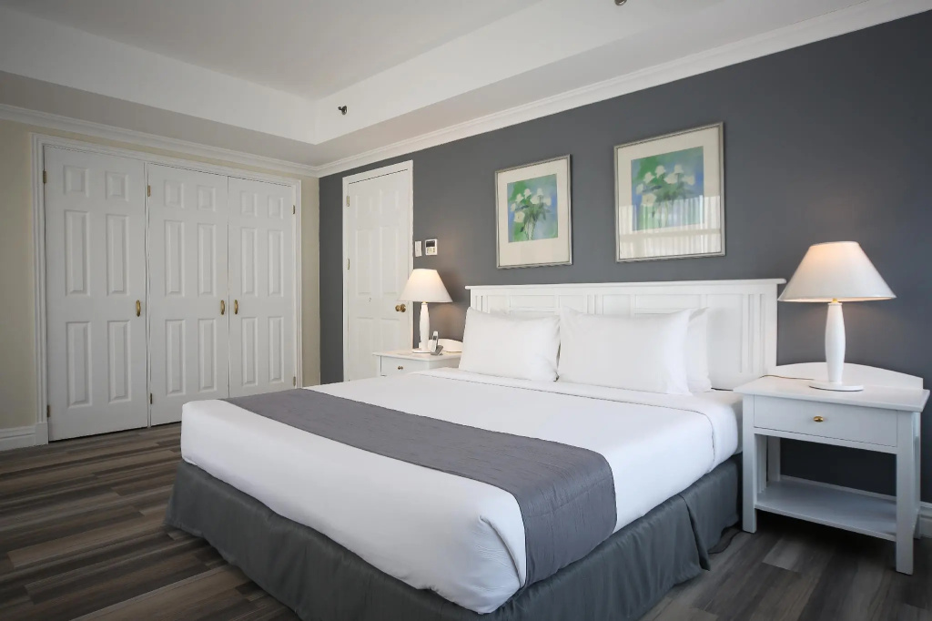 1 Bedroom Suite