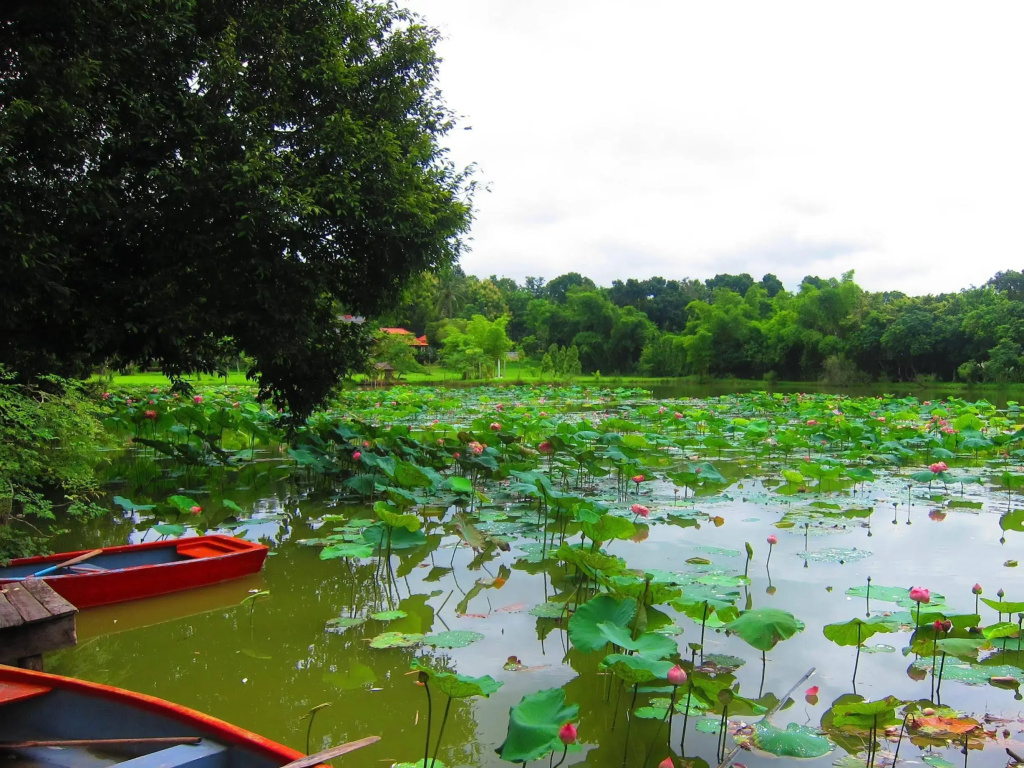 Mae Rim Lagoon - Général